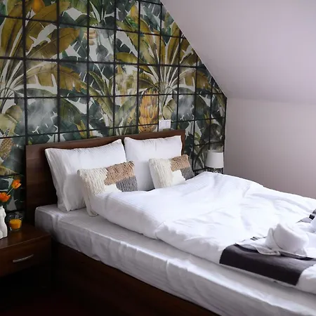Pensiunea Irish Guest house