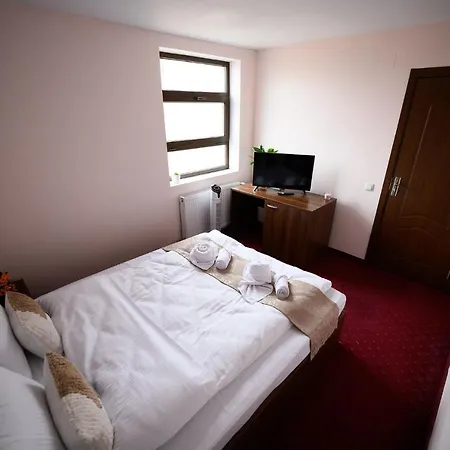 Pensiunea Irish Guest house