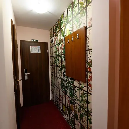 Guest house Pensiunea Irish Medias